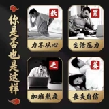 Пекин Тонгрентанг Ренкин Волфберри чай