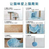 Кошка кошка скалолаза