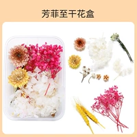 Fangfei для сухой цветочной коробки