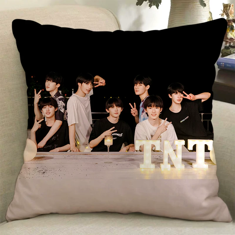 Плакат с изображением куклы TNT Times Youth Team Pillow Song Yaxuan Liu Yaowen Ma Jiaqi Pig Pigramate подарок