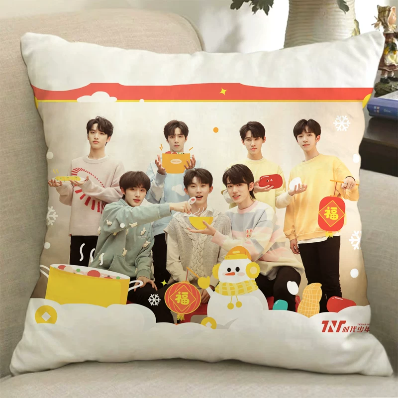 Плакат с изображением куклы TNT Times Youth Team Pillow Song Yaxuan Liu Yaowen Ma Jiaqi Pig Pigramate подарок