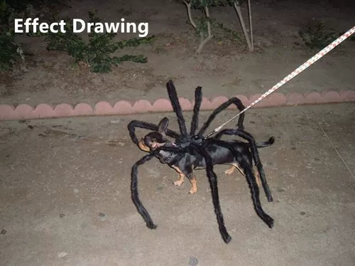 Собачья костюм паука на Хэллоуин