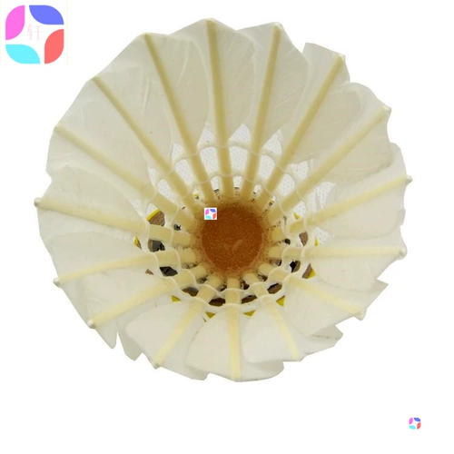 Барминтон в помещении и на открытом воздухе бадминтон с бадминтоном.