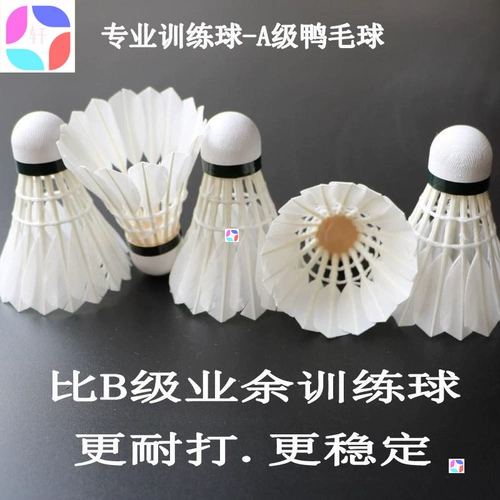 Барминтон в помещении и на открытом воздухе бадминтон с бадминтоном.