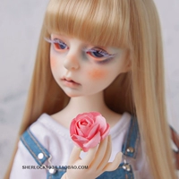 ｝ Little Rose 4 6 очков 4 минуты 3 балла Bjd.sd.dd Baby, чтобы сделать фон сфотографированного фона, чтобы компилировать головы и цветы