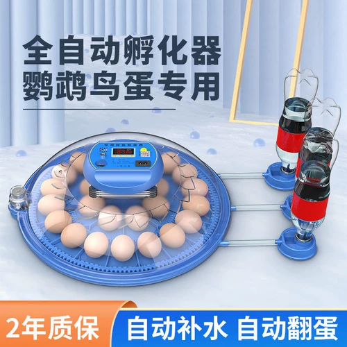 Инкубатор инкубатор небольшой дом интеллектуальный полностью автоматический хэтчбек машины попугай птичья яйцо мини -маленькая летающая тарелка