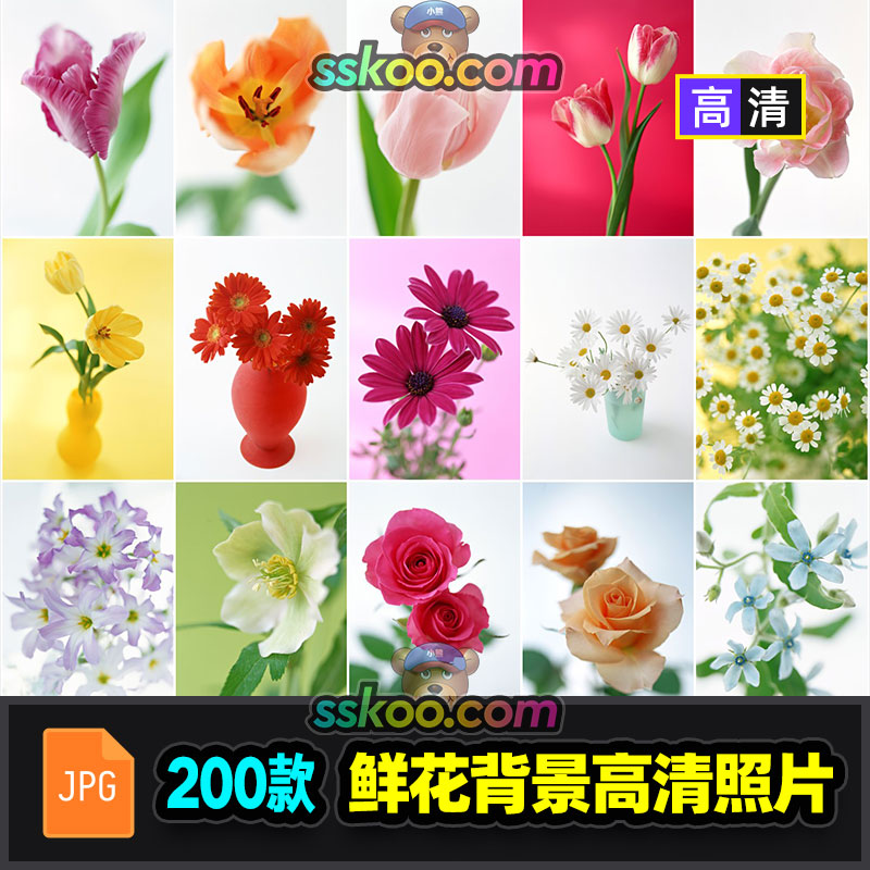 鲜花花朵花卉特写JPG图片图库高清摄影照片海报背景平面设计素材