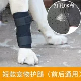 Домашние кошки и собака задних ног слабые переломы суставов Старожи