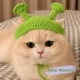 Wi-Fi Hat (S подходит для 0-4 Catties)