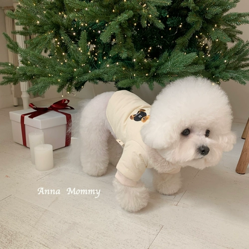 Домашний кошка и собака сгущенным меховым воротником осенью и зимним теплым хлопковым пальто