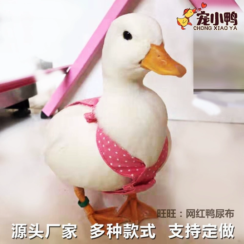 Чистая одежда из красного питомца куриная моча не намодает продукты Kerr Duck Duckling Goose Wipers, дерьмо, одежда