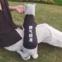 Температура плохая [летняя тонкая модель]