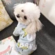 Quần áo Teddy bốn chân quần áo mùa xuân và mùa thu VIP hơn Xiong Bomei chú chó nhỏ chó cưng mèo mùa thu và quần áo mùa đông - Quần áo & phụ kiện thú cưng Quần áo & phụ kiện thú cưng