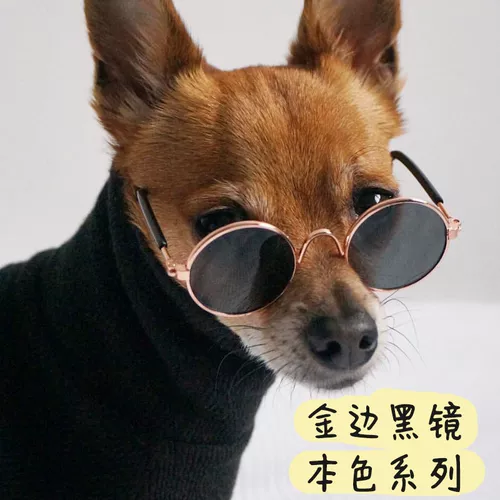 Забавные солнцезащитные очки, брендовая хлопковая кукла, аксессуар, кот, домашний питомец, наряжаться