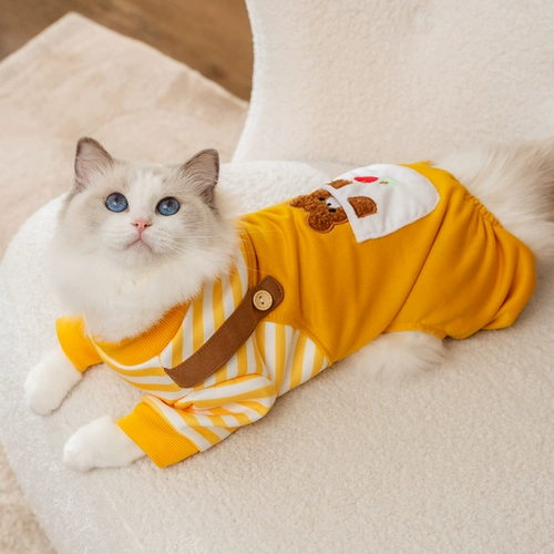 Может потянуть полосатые медведи, собаки, собачья одежда весна и осень, плюшевый барон, маленькая собачья домашняя кошка с четырьмя одеждой, зима