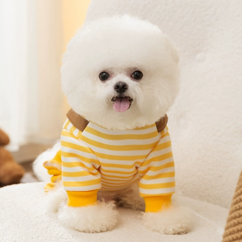 Может потянуть полосатые медведи, собаки, собачья одежда весна и осень, плюшевый барон, маленькая собачья домашняя кошка с четырьмя одеждой, зима