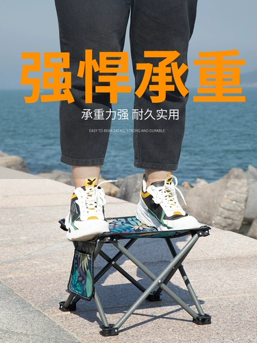 Дорожная складная портативная пони для кемпинга, снаряжение для рыбалки для путешествий, популярно в интернете