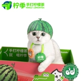 Seasonal Limited Midumidu Lemon Season Season Top Top -呱 Hearset Hearset Awrmelon Catt Cat