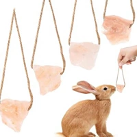 [Человек -и -специфическая веревка] 100 граммов 1 штуки (специальное домашнее животное)