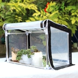 Полинуты солнцезащитные кремы, домашние цветы, полихиласы, овощи, овощные балкон, дождь на солнечном складе и маленький цветочный сарай