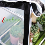 Полинуты солнцезащитные кремы, домашние цветы, полихиласы, овощи, овощные балкон, дождь на солнечном складе и маленький цветочный сарай