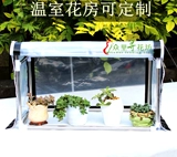 Полинуты солнцезащитные кремы, домашние цветы, полихиласы, овощи, овощные балкон, дождь на солнечном складе и маленький цветочный сарай