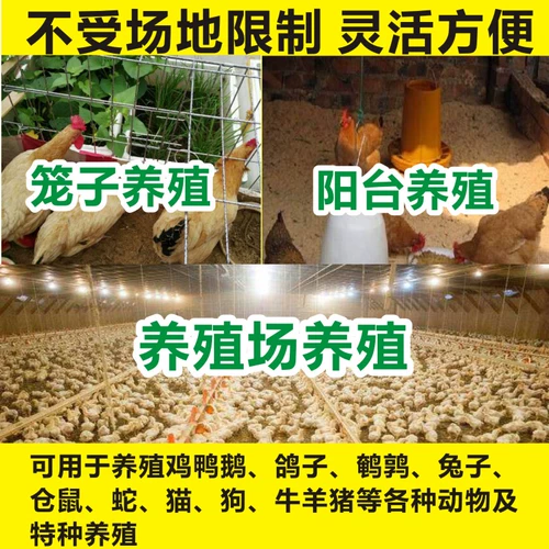 Сухой -сбрасываемой куриной ферментированный кровать бактерий бактерий балконы куриная клетка куриная куриная дом дезодоризация матовых ингредиентов опилок, семейная куриная кровать, сыпи грибки для благочестия