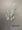 dây hoa hồng leo giả Hoa lan nhảy múa màu vàng Yuhan hoa nhân tạo Hoa lan nhảy múa 5 nhánh chất lượng cao trang trí nhà cửa hoa lan vũ nữ bàn ăn chào đón mùa xuân hoa sen giả giả hạc rừng