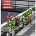 Đức nhập khẩu ban công hoa đứng treo sắt hộ lan tôn sóng chậu hoa móc treo mọng nước lan can hoa đứng trong nhà bệ cửa sổ kệ trồng hoa ban công kệ treo cây cảnh trong nhà Kệ ban công
