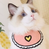 Шарф, розовый синий слюнявчик, аксессуар, наряжаться