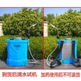 Новые ручные саженцы дыма бутоны бутоны