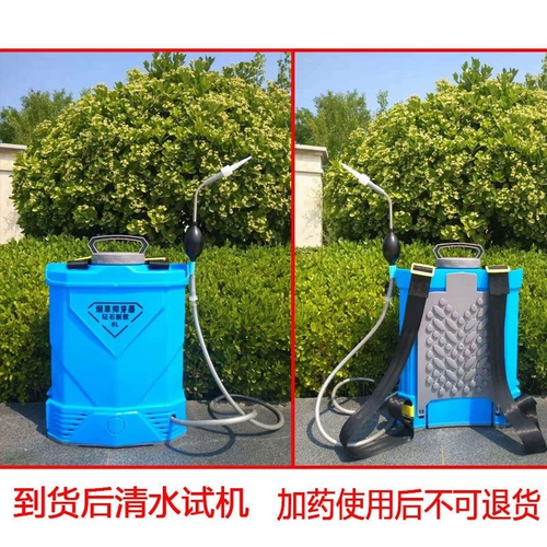 Новые ручные саженцы дыма бутоны бутоны