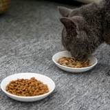 Керамическая котенка для закусок маленького блюда