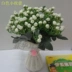 Bện nhựa bình hoa giỏ chèn mô phỏng hoa chậu hoa hoa trang trí nội thất máy tính để bàn trang trí sắt hoa đứng Vase / Bồn hoa & Kệ