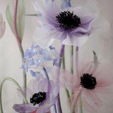 органза 真丝花纱花加密欧根纱手工diy婚庆纱花材料路引花蓬蓬裙服装面料