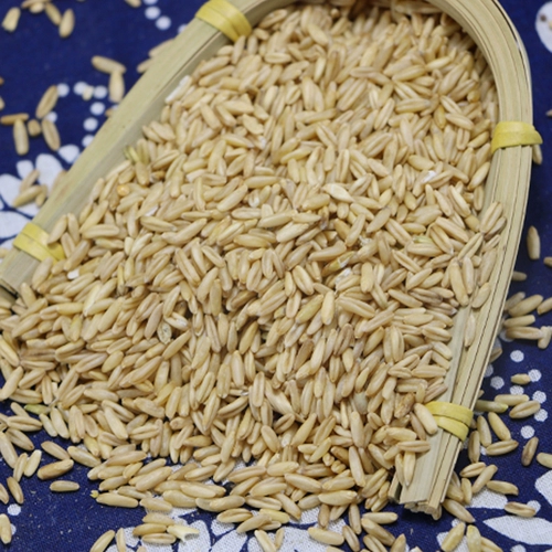 Фермеры овсянка рис nen 500g дикая пшеничная пшеничная пшеничная пшеница.
