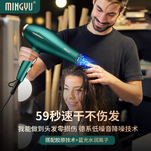 Housekeeper Labberry Housekeeper, посвященная высокой мощностью 3000 отрицательных ионов, горячие и холодные волосы, одеяло для волос, большая ветровая сила