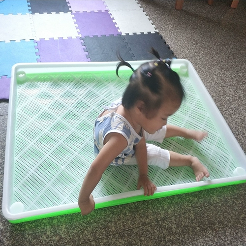 Пластиковые бляшки из шелкового червя питают шелкочный шелкочный шелкочный червя, большой шелкорный червя, коэффициенты, фермеры, шелковые черви легко очистить, дезинфекция, санитарный корм для шелкота, долговечный