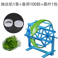 Шелковичный яичный яичный яичный аппарат 100+ машины для рисования+ листья