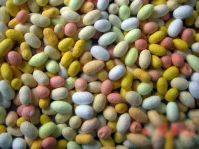 Свежий кокон из шелковика с шелкористыми куколками может производить мотыльки, шелковая шелковая шелковая живая шелковая червя Двойной дом кокон кокон можно накачать в виде образца шелковика