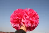 La La Flower Ball Double -Heded Professional Professional Gymnast Dance Ball Ball La La Team Color Ball Game