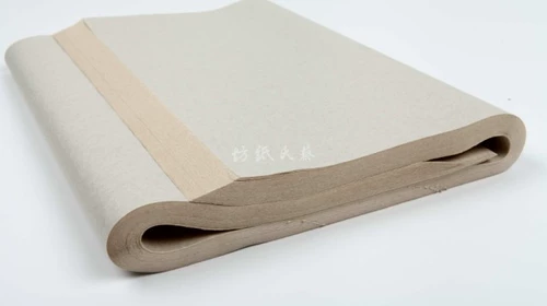 Половина приготовленная пропагандиспа