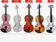 1 16 violin 2018 trẻ em mới bắt đầu 4 4 cao cấp 1 10 nhạc cụ phân phối đầy đủ bộ handmade 1 4 - Nhạc cụ phương Tây
