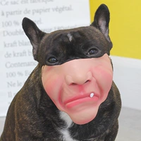 Домашняя собака смешная маска смешная обложка Douyin fat boom po po Repated Lacks Lucky Lips Cartoon