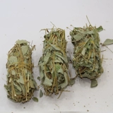 Guangxi -Бесплатные свежие большие деньги -пахнущие камни естественным образом широкая денежная трава, пропитанная вода и почек целое растение 500 грамм
