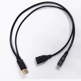 USB One -точечная расширение USB One -Draging Two Data+Cable Cable Cable USB Зарядка 1 см 2 Линия удлинения материнской линии