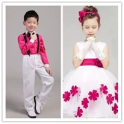 Trẻ em của Điệp Khúc Hiệu Suất Trang Phục Múa Tiểu Học Công Chúa Công Chúa Váy Hiển Thị Hoa Cô Gái Máy Chủ của Nam Giới và Phụ Nữ Dresses