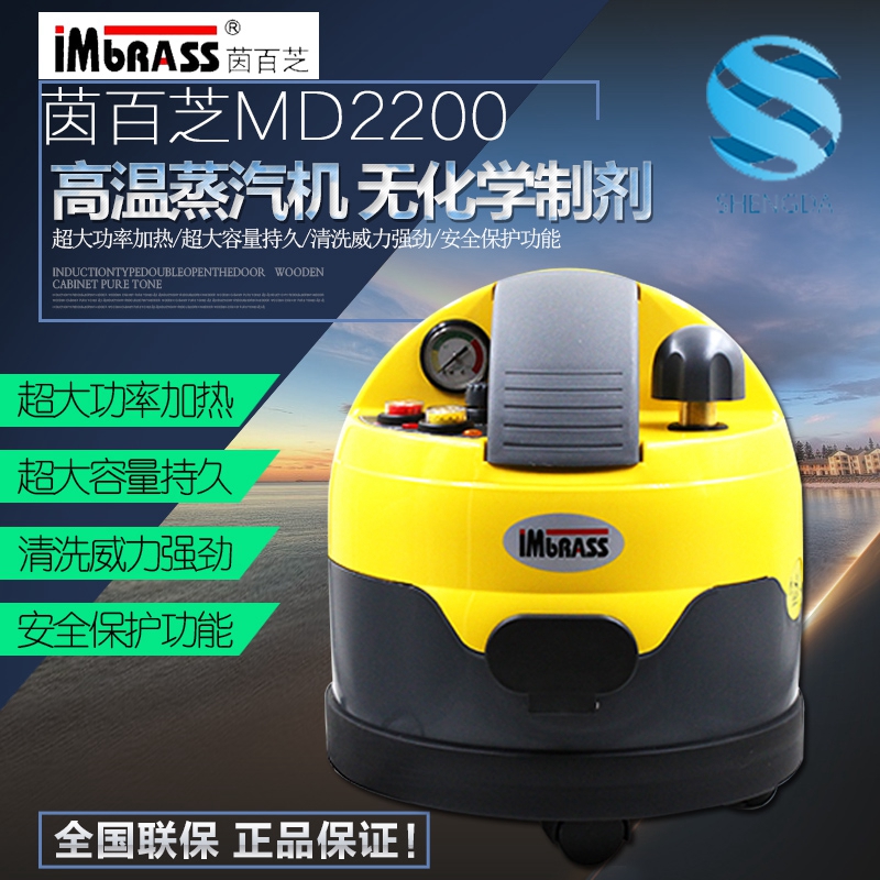 yingbaizhi MD2200 高温車スチームサウナ消毒洗浄機カー用品除染と脱脂アクセサリー