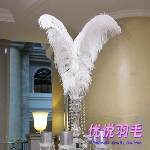 Южная Африка импортированная сеть красного белого страуса -пера Свадебная дорога Ст.