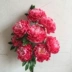 Hoa giả hoa mẫu đơn 8 hoa giả hoa khô trang trí phòng khách hoa trang trí với hoa một - Hoa nhân tạo / Cây / Trái cây bình hoa lựu giả Hoa nhân tạo / Cây / Trái cây